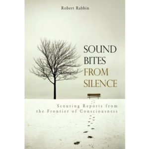 Sound Bites From Silence Robert Rabbin