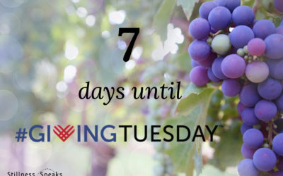 Stillness Speaks and Giving Tuesday: 7 Days to go