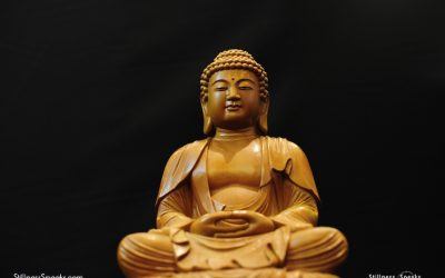 Exploring Buddhism and Cultural Adaptation