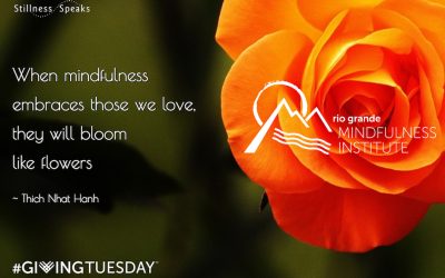 FEATURED POST: Giving Tuesday & Fostering Mindfulness